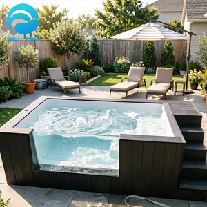 <span class=keywords><strong>Piscine</strong></span> Conteneur en Fibre de Verre et <span class=keywords><strong>Bois</strong></span> de 20 pieds pour Maison, <span class=keywords><strong>Piscine</strong></span> <span class=keywords><strong>Hors</strong></span> <span class=keywords><strong>Sol</strong></span> Extérieure, Vente en Gros Usine à Prix Compétitifs - Product Image 3