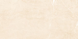 Carreaux de porcelaine imprimés numériques de beau modèle de conception européenne fabriquant en Inde pour la salle de séminaire. - Product Image 4