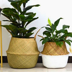 Panier en jonc de mer Panier rustique Artisanat multifonctionnel écologique Taille personnalisée Fabricant du Vietnam - Product Image 5