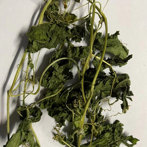 สารสกัดจากใบเมลอนบริสุทธิ์/ประโยชน์ในการดูแลผิว/ฉลากที่สะอาด/NON-GMO - Product Image 1