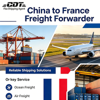 Agent d'expédition DDP Chine, transitaire professionnel, transport maritime et aérien, service express LCL, transport logistique FBA USA