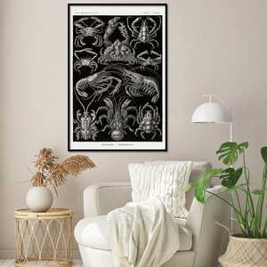 Póster de Haeckel Art Decapods, Diseño Moderno Estilo Anime, Lienzo Enmarcado en Madera, 86 Formas de Arte Natural para Colgar en la Pared - Product Image 4