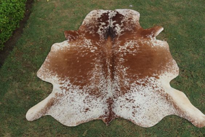 High Quality Bulk Export Ready 2025 Kenyan Hides/Skins at Low Prices Buy 2025 Kenyan Hides & Skins Grade 1 Hides/Skin For Sale - Product Image 4