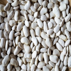 Meilleures ventes de haricots blancs séchés en vrac pour soupes, salades et traiteurs – En promotion - Product Image 1