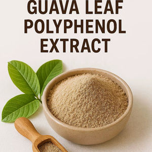 EU Guava Leaf Polyphenol <b>Extract</b> - Product Image 1