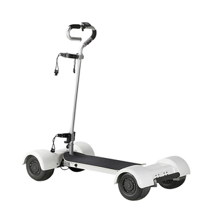 ESWING Golfboard en Oferta, Scooter Eléctrico de 4 Ruedas, Aleación de Aluminio, Pantalla LCD, Carga Máxima 150 kg, Carritos de Golf Eléctricos en Venta - Product Image 2