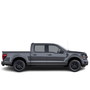 Pick-up électrique pleine grandeur d'occasion 2025, le plus vendu, au prix d'usine, en bon état - Product Image 3