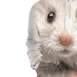 เสื้อฮู้ดแขนยาวสำหรับผู้ชายผ้าคอตตอนพิมพ์ลายแบบซับลิเมชันผ้าโพลีเอสเตอร์ - Product Image 5