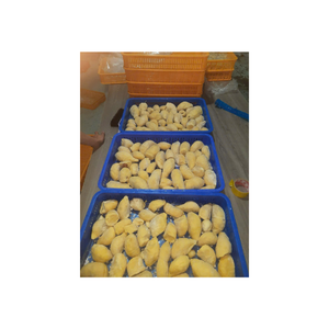 Segments de durian congelés Premium Thai Monthong, doux et lisse, congelé IQF, emballage sous vide de 1kg, idéal pour les fabricants de desserts - Product Image 4