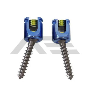 Tornillos Pediculares Ortopédicos Manuales de Acero Inoxidable de Alta Calidad con Certificación CE para Cirugía Veterinaria en Animales Pequeños, 5 Años de Garantía - Product Image 4