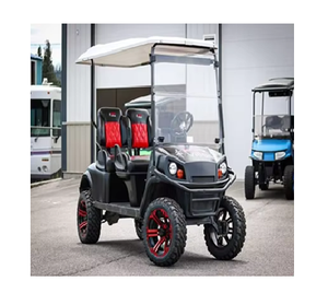 Meilleure vente bricolage industriel OEM voiturette de golf en gros prix direct 75585850 levé 4 passagers en vente - Product Image 4