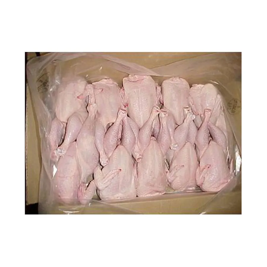 Pollo entero Halal congelado Más vendido Grado superior Alta calidad Precio bajo Aves de Corral frescas Carne de pollo entera congelada
