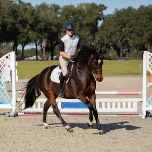 Écusson au genou pour hommes Pantalon d'équitation Pantalon d'équitation Tissu technique de haute qualité Fermeture à glissière avant et crochet Gutos Fermeture à glissière Équitation - Product Image 5