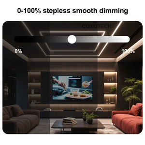 Thông minh chuyển đổi ánh sáng 50A 1200 Wát High Power <span class=keywords><strong>LED</strong></span> <span class=keywords><strong>Dimmer</strong></span> không nhấp nháy màu đen vỏ kim loại độ sáng có thể điều chỉnh cho chiếu sáng phụ kiện - Product Image 4