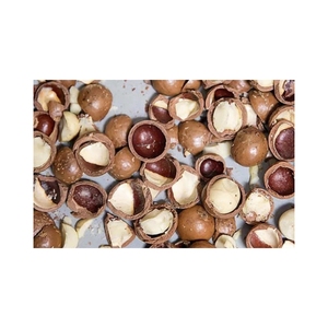 Nueces de Macadamia de marca privada, origen de Vietnam, embalaje personalizado, granos crudos o tostados OEM y servicio de suministro a granel, de Vietnam - Product Image 1