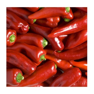 Proveedor de Chiles Rojos Frescos a Precio de Mayoreo - Product Image 3