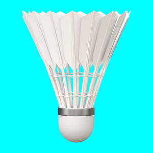 Volant de badminton haute vitesse, vol stable - Product Image 6