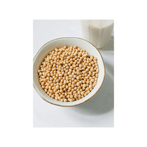 เมล็ดถั่วเหลืองแบบ non GMO - Product Image 2