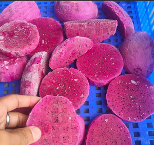 Cubos de fruta de dragón congelado IQF del mejor exportador de Vietnam/venta al por mayor a granel, embalaje personalizado disponible - Product Image 6