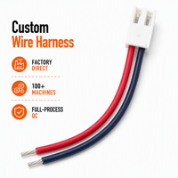 Rangkaian Kabel Harness Daya 2Pin Kustom dengan Konektor dan Ujung Kabel yang Sudah Dihaluskan untuk Perangkat Baterai Peralatan Elektronik OEM