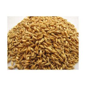 Grains d'orge en gros, approvisionnement en vrac disponible au prix direct usine - Product Image 1