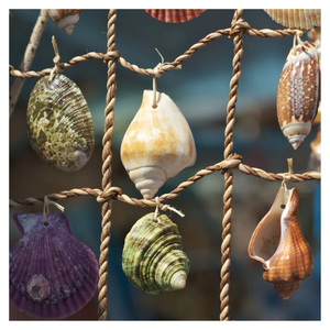 Surtido de conchas marinas coloridas decorativas de 2-3cm para relleno de Acuario, diseño de velas y artesanía de resina - Product Image 4