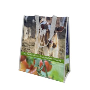 Bolsa de Compras de Polipropileno Tejido con Diseño de Asa Personalizado para Empaquetado Minorista, Tiendas de Abarrotes y Publicidad de Marca - Product Image 3