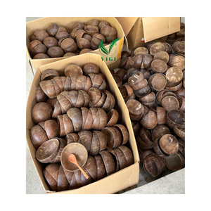 Bol en coquille de noix de coco fabriqué à la main respectueux de l'environnement vietnamien: bols de service naturels et durables pour les smoothies, les salades - Product Image 6