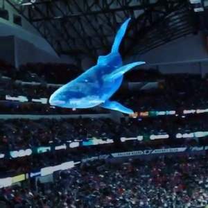 Dễ dàng thiết lập Trọng lượng nhẹ Tripod màn hình chiếu 70 inch với điều chỉnh chiều cao cho chiếu trong nhà và ngoài trời - Product Image 4