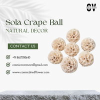 Bola-bola Sola Crape Alami Berkualitas Tinggi untuk Dekorasi Pernikahan DIY, Wisuda, Natal, Hari Ayah, Hari Ibu & Acara Halloween