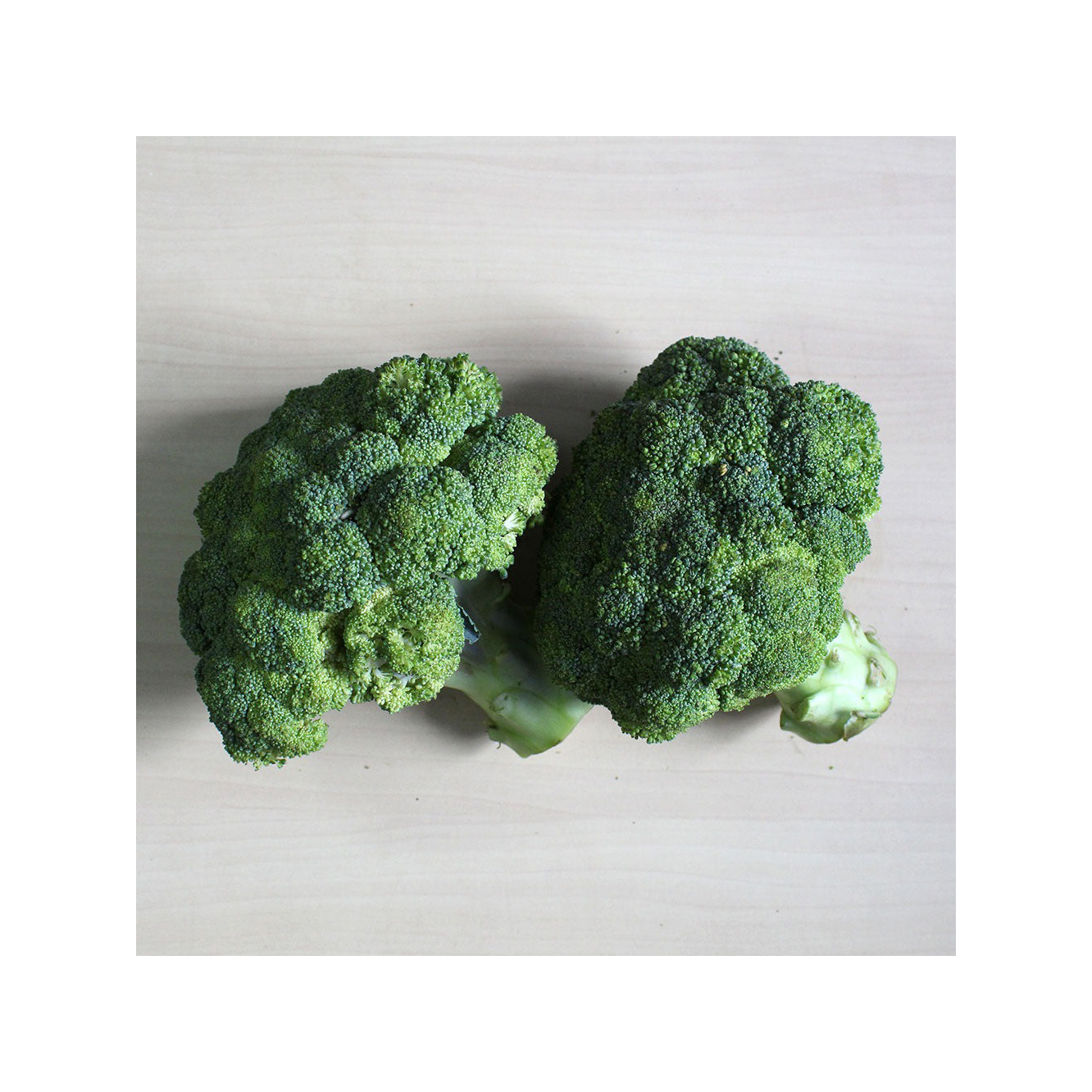 Organic fresh broccoli for supermarkets and food distributors