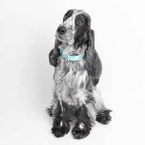 Dropshipping GiftPet Aço Inoxidável Colar De Metal Chaveiro Titanium Aço Jóias Figura de Casal Gatinho Foto Acessório - Product Image 4