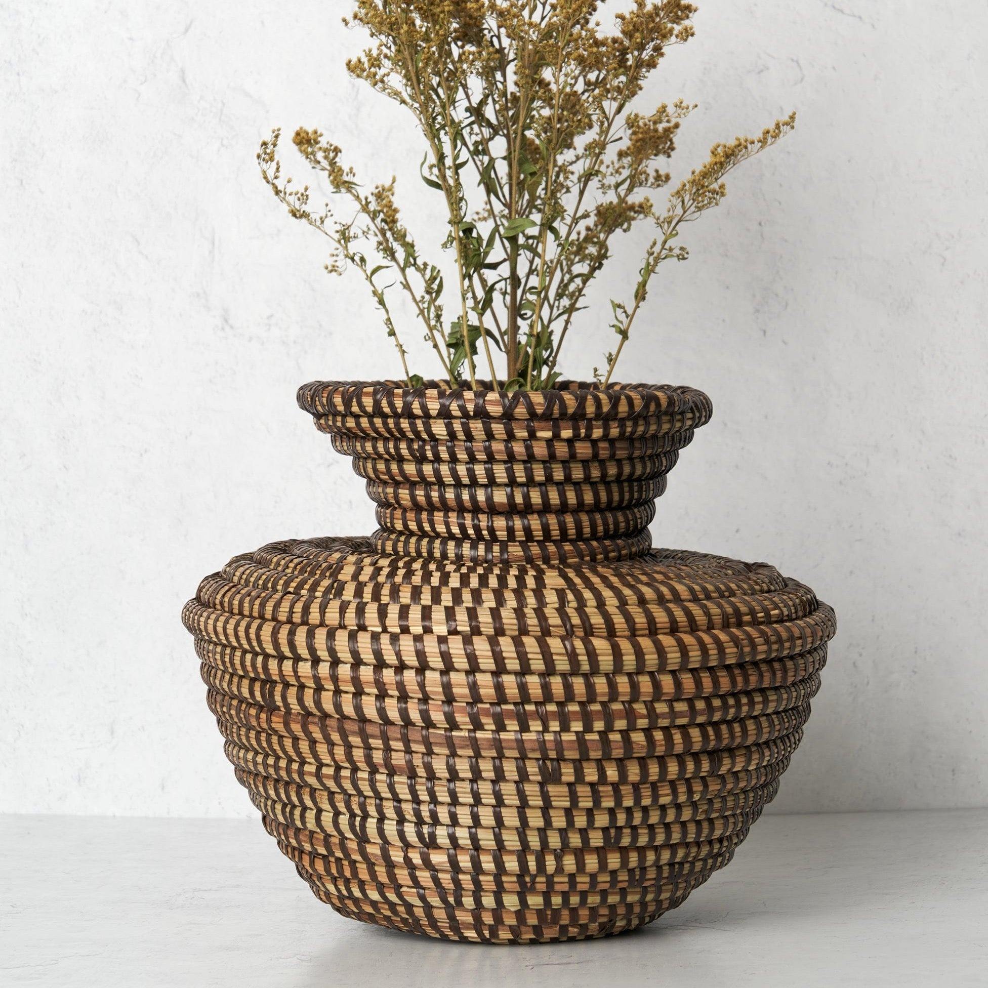 ธรรมชาติ