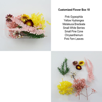 Konservierte Blumen-Materialbox Gemischte Mini-Trockenblumen Epoxidharz Nagelkunst Schmuck DIY Handwerk Großpackung Valentinstag
