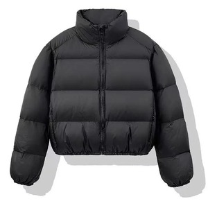 Ropa de invierno, Chaqueta corta de lujo para mujer, abrigo de algodón con cuello Peter Pan dulce, Parka acolchada a la moda, prendas de vestir exteriores gruesas para mujer - Product Image 6
