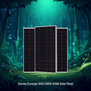 Panel Solar Sonnex Energie SNX-C66HI-425M - Product Image 3