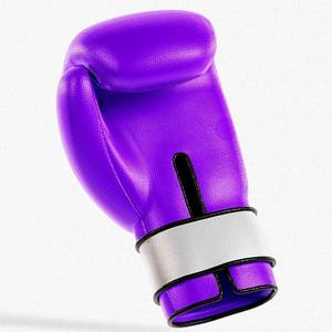 Gants de boxe sur mesure de fabrication professionnelle Gants de boxe de style personnalisé à prix abordable - Product Image 2
