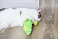 Jouet en peluche pour chat en forme de coque de pois avec herbe à chat, billes de pois amovibles et queue à plumes, jouet interactif à mâcher pour usage quotidien pour chatons