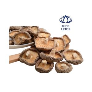 Champignon Shiitake séché - Product Image 1