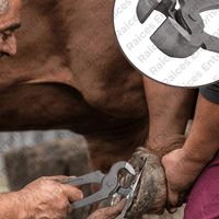 Kit de aseo de herradura sin óxido duradero, juego de equipo de cuidado de caballos equinos, Kit de herramientas de herradura de caballos de bajo precio para venta en línea