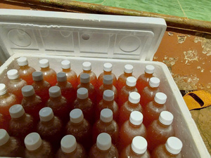 Exportador a granel de Vietnam de miel natural de primera calidad con precio competitivo y suministro confiable - Product Image 4