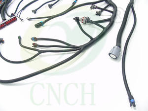 99-06 Vortec (DBC) W/ 4L60e 4L80e مع حاقن Multec 5 دبوس MAF الأسلاك تسخير مستقل - Product Image 4