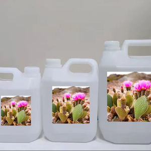 Huile capillaire au cactus, formule végétalienne nourrissante et légère pour un soin quotidien et des cheveux lisses sans frisottis avec des avantages 2 en 1 - Product Image 1