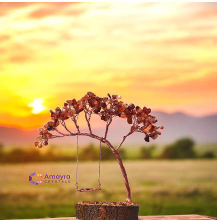 ตามที่แสดง