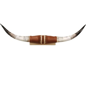 Cuerno largo Natural montado en soporte de ágata tamaño personalizado ecológico para decoración de lujo para el hogar y la Oficina - Product Image 4