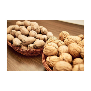 Nueces a Precio de Fábrica, Listas para Exportación y Envío a Granel - Product Image 6