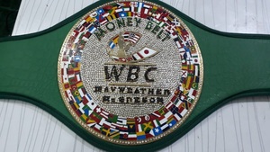 Ceintures de championnat de boxe Trophées Médailles et récompenses le symbole ultime de la victoire et de l'excellence Ceintures de championnat - Product Image 5