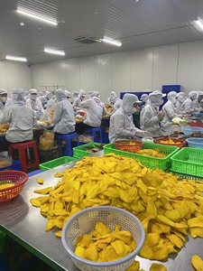 Best Choice Vietnam Soft <b>Dried</b> <b>Mango</b> Packaged With Ad Preservation Process Sugar <b>Dried</b> <b>Mango</b> - Caryln - Product Image 4