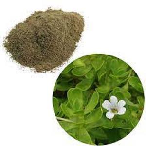 ผงสกัด Bacopa monnieri บริสุทธิ์อาหารเสริมสมุนไพรที่เชื่อถือได้สำหรับผู้ใหญ่ผงสกัด Bacopa monnieri ODM - Product Image 2