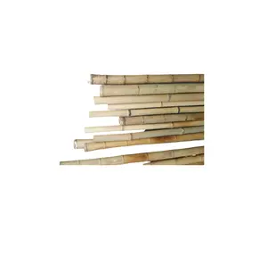 Üretici düz bambu direkleri eskrim için tiki barlar güverte ve ev dekorasyon inşaat (whatsapp 0084587176063 Sandy)